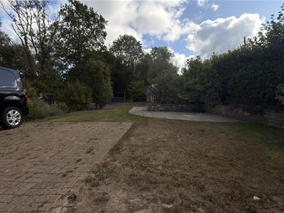 Picture 31